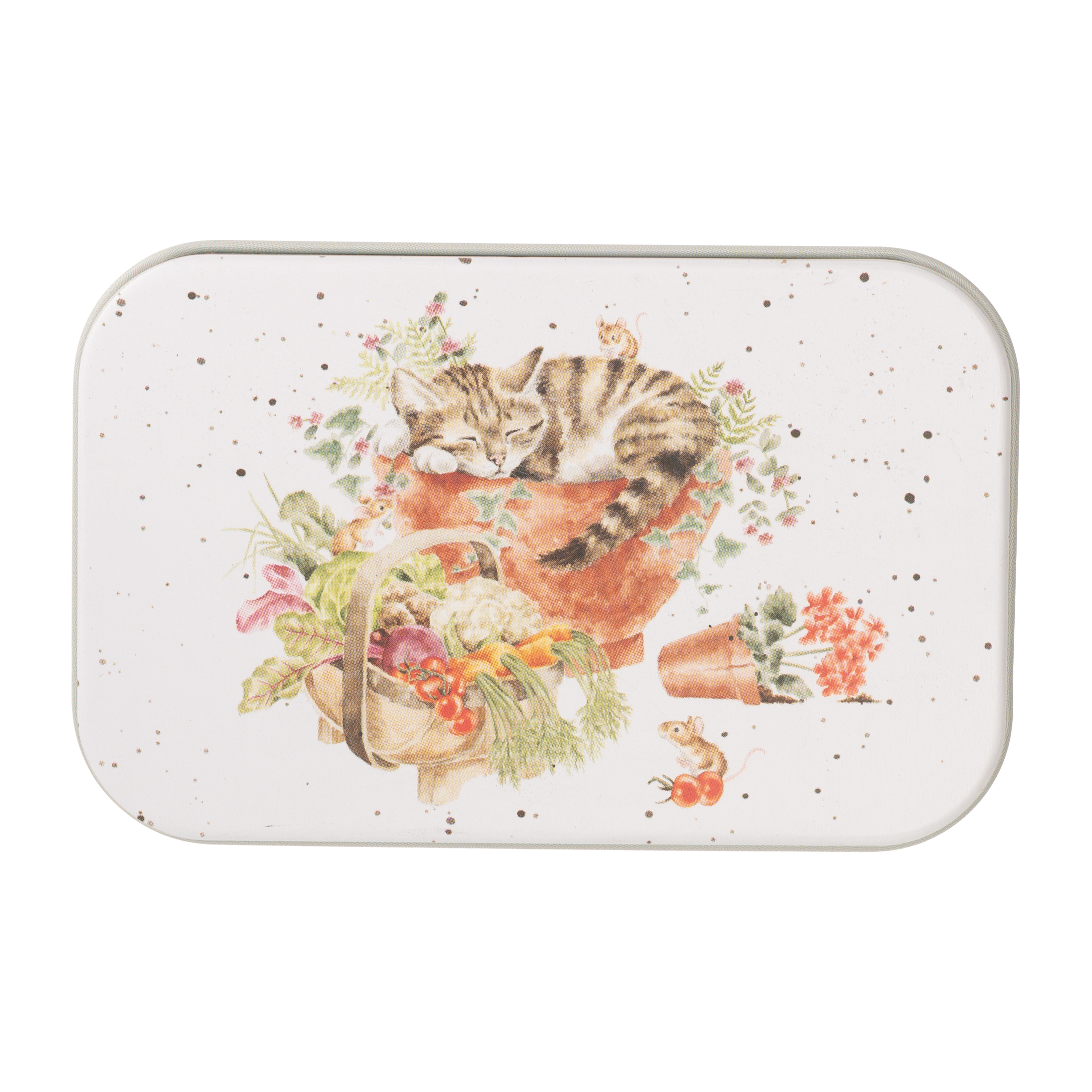 Abgebildet ist die Mini Dose Katze mit der Aufschrift "Purrrfect Birthday". Die Dose zeigt ein niedliches Katzenmotiv für Geburtstage.