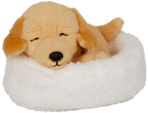 Hier sieht man ein namenloses Produkt. Weiterführende Hinweise fehlen.