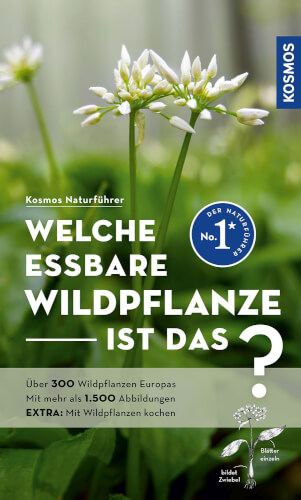 Auf dem Bild ist ein Bestimmungsbuch für essbare Wildpflanzen abgebildet. Auf dem Cover sieht man eine weiße Blüte einer Wildpflanze mit grünem Hintergrund.