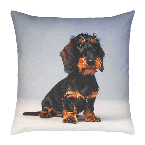 Abgebildet ist das Kissen BODO grey 45x45cm. Es zeigt ein graues Kissen in quadratischer Form.