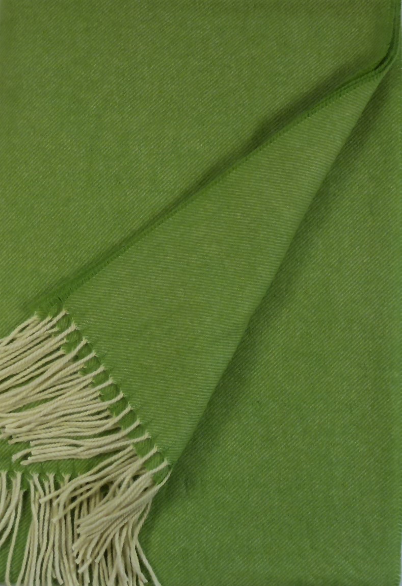 Auf dem Bild ist eine grüne Plaid-Decke mit cremefarbenen Fransen zu sehen. Das Material wirkt weich und hochwertig.