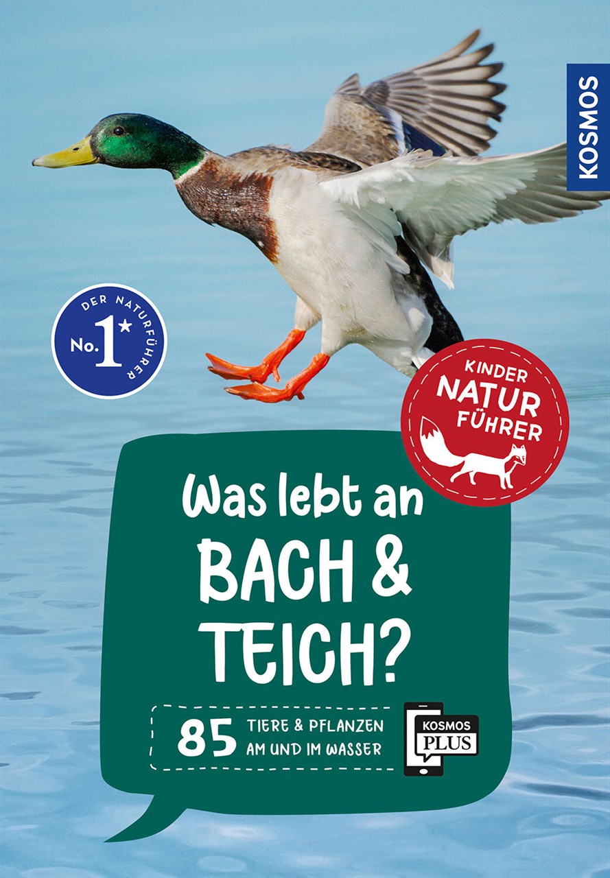 Auf dem Bild ist das Buch "Kindernaturführer: Was lebt an Bach und Teich?" zu sehen. Das Cover zeigt eine Ente im Flug über dem Wasser und informiert über 85 Tiere und Pflanzen am und im Wasser.