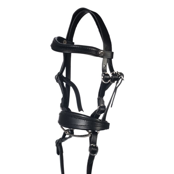 Abgebildet ist die Trense -Hobby Horsing Basic- in Schwarz. Die Trense ist speziell für das Hobby Horsing entwickelt.