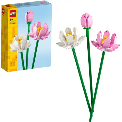 Schäffer24.de