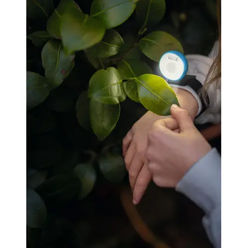 Armband-Licht Clip & Move - Expedition Natur
