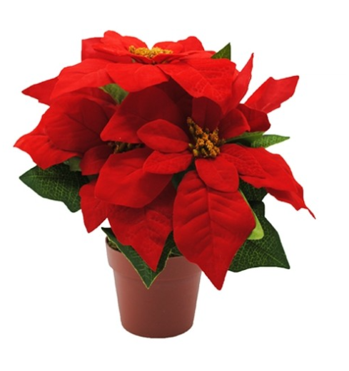 Kaemingk Poinsettia Im Topf Polyester