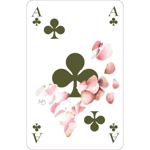 Schachtelspiel Die Beliebtesten Kartenspiele Blüte