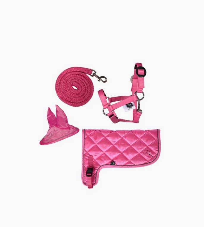 Das Bild zeigt das Produkt Neonset -Hobby Horsing- 3900 in Pink. Es handelt sich um ein farbenfrohes Set für Hobby Horsing Fans.