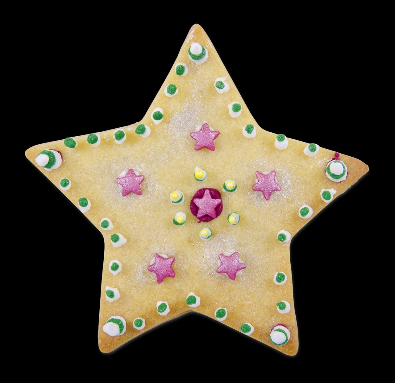 Das Bild zeigt einen Keks in Sternform, der mit bunten Zuckerperlen und kleinen Sternen dekoriert ist. Der Keks wurde mit einem fünfzackigen Ausstecher aus Edelstahl ausgestochen.