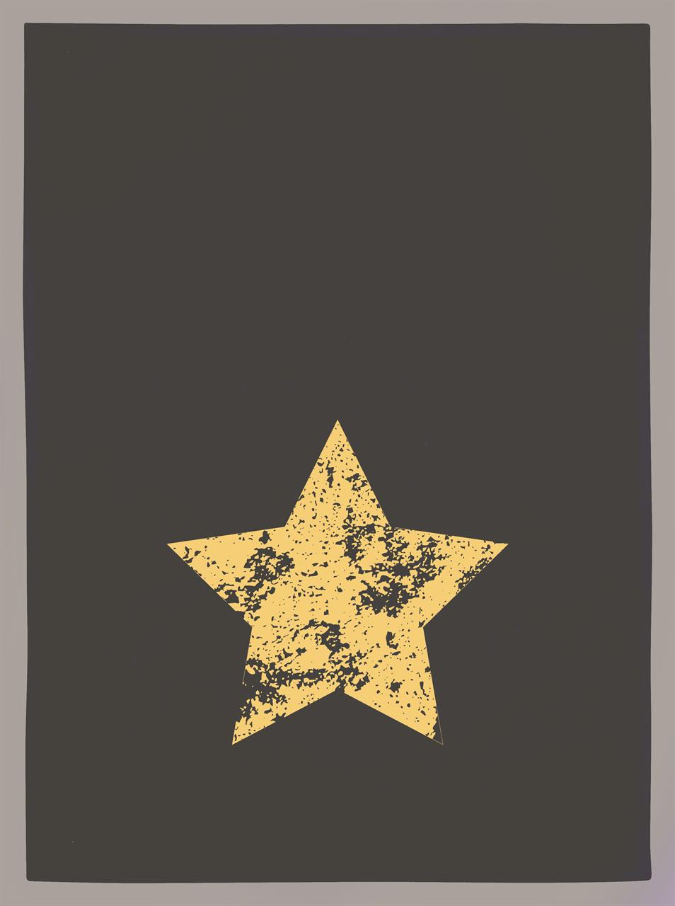 Das Bild zeigt ein graues Geschirrtuch aus Baumwolle mit einem goldenen Stern in der Mitte. Der Stern hat eine leicht strukturierte, ungleichmäßige Oberfläche.