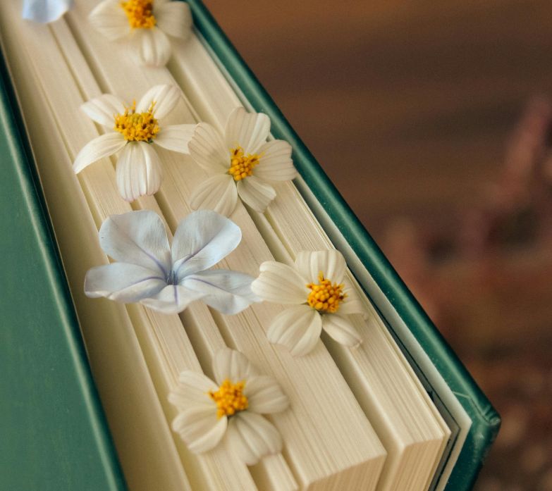 Das Bild zeigt wahrscheinlich Bücher, basierend auf dem Dateinamen. Die genaue Darstellung ist jedoch nicht ersichtlich.