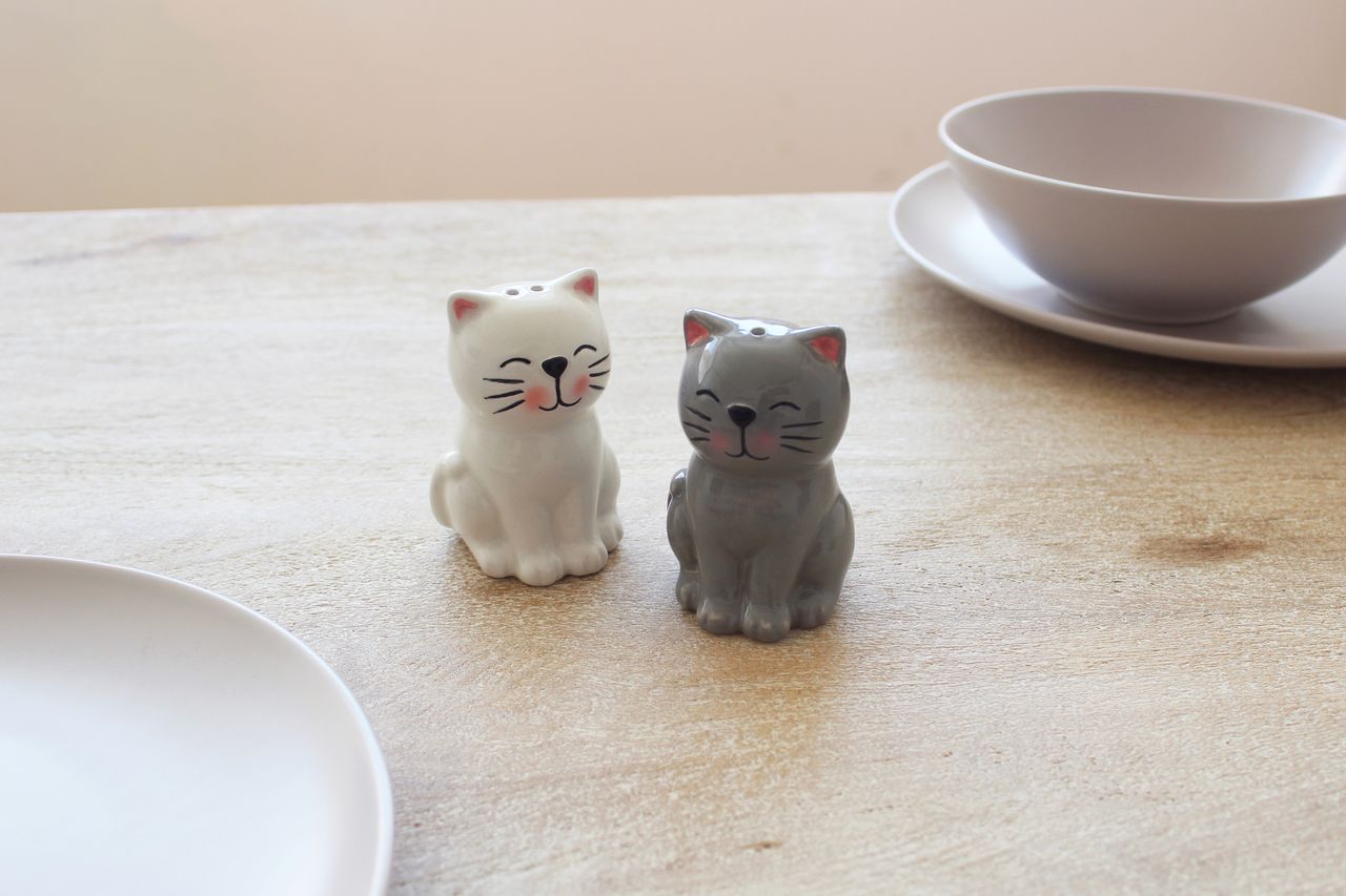 Winkee Salz-&Pfefferstreuer Katzen