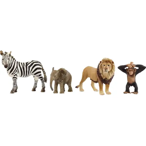 Afrika Starter-Set 42721