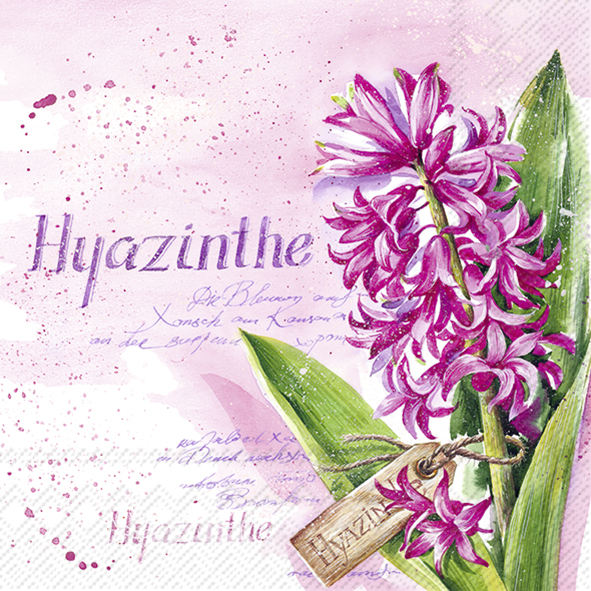Das Bild zeigt eine rosa Hyazinthe mit grünen Blättern auf einem zart rosafarbenen Hintergrund. Daneben steht das Wort „Hyazinthe“ in lila Schrift.