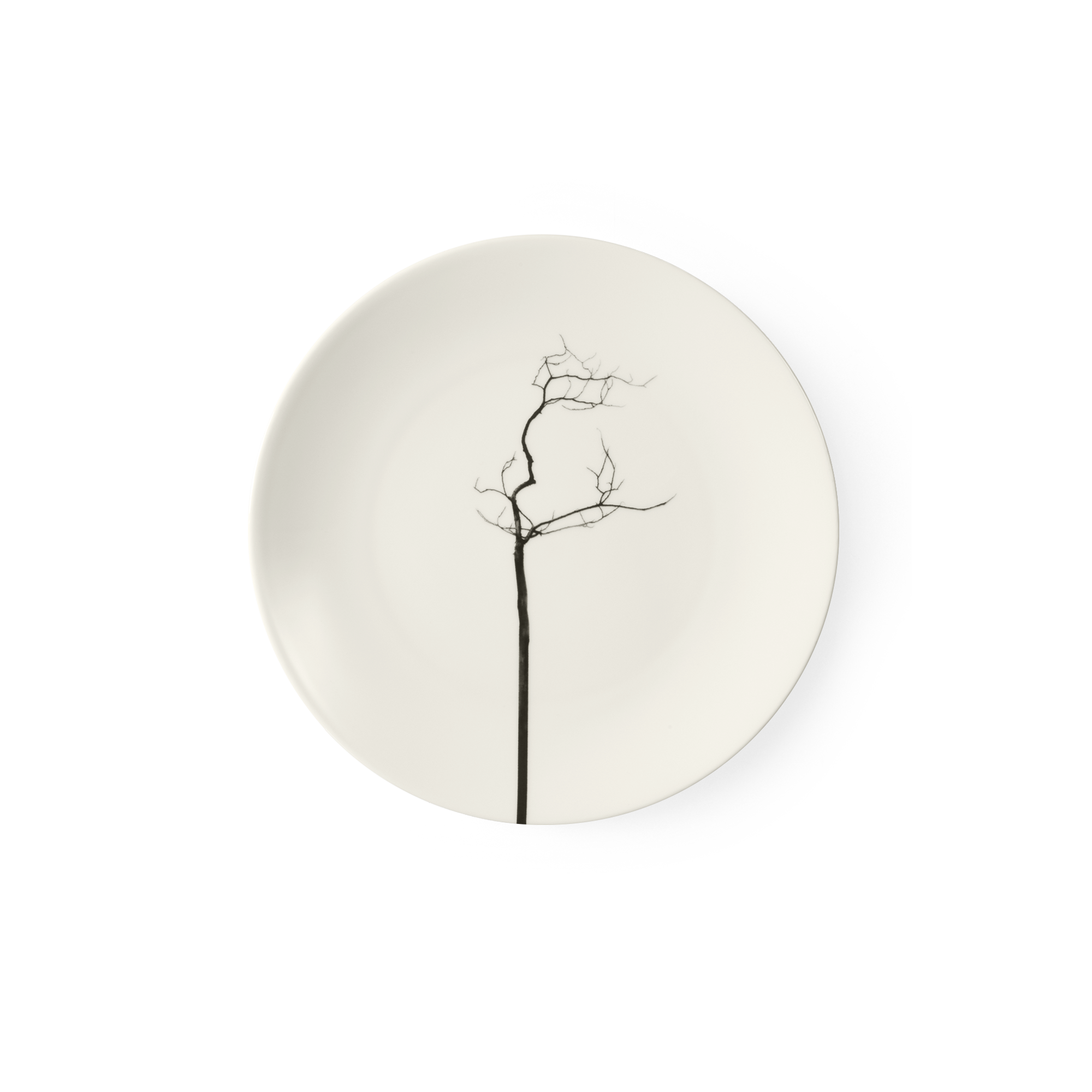 Hier ist ein flacher Teller mit 21 cm Durchmesser aus Black Forest Fine Bone China zu sehen. Der Teller eignet sich hervorragend zum Servieren von Hauptgerichten.