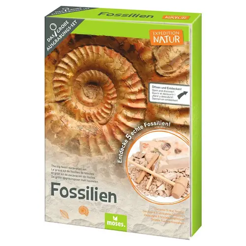 AusgrabungsSet Fossilien