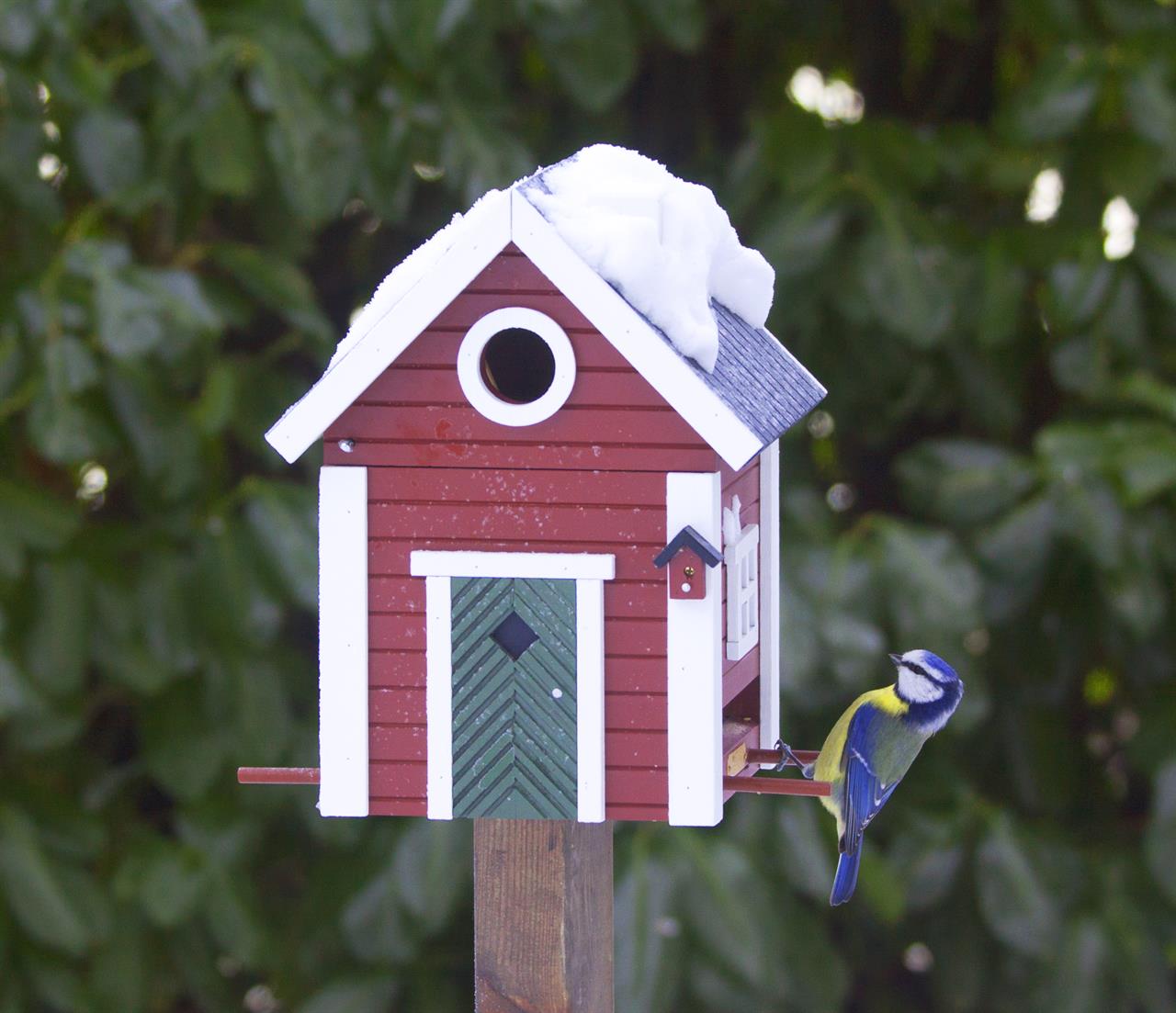 Wildlife Garden Ab Rote Multiholk Schwedenkate