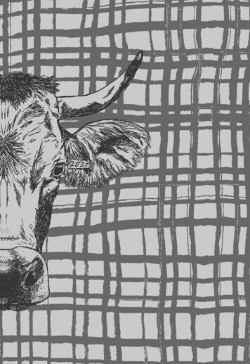 Das Geschirrtuch zeigt den Kopf einer Kuh vor einem modernen, karierten Hintergrund in Schwarz. Es besteht aus 100% Baumwolle und misst 50x75 cm.