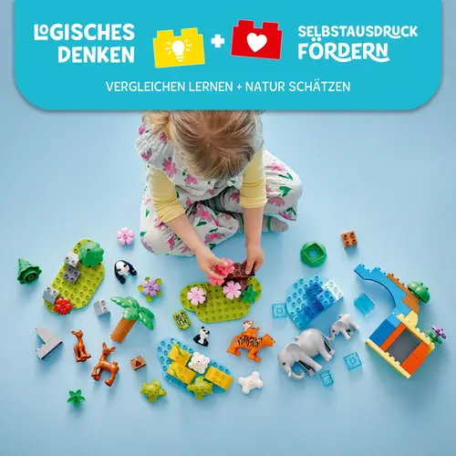 Das Bild zeigt ein Produktbild ohne weitere Beschreibung. Es handelt sich um die Datei 41104848_5702017815558_10446_WE_eComFrame2_DE.