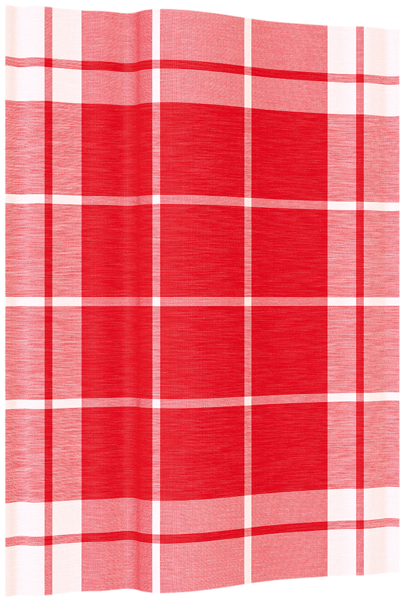 Das Bild zeigt ein rot-weiß kariertes Geschirrtuch mit den Maßen 50x70 cm. Das Tuch besteht aus Halbleinen und hat ein klassisches Karomuster.
