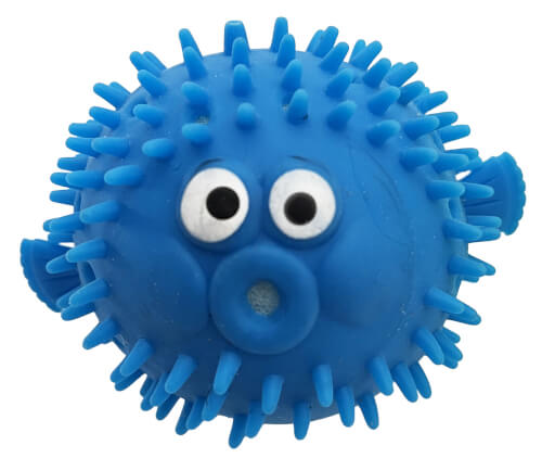 Das Bild zeigt einen blauen, stacheligen Gummiball mit großen, weißen Augen. Er sieht aus wie ein lustiger, runder Fisch.