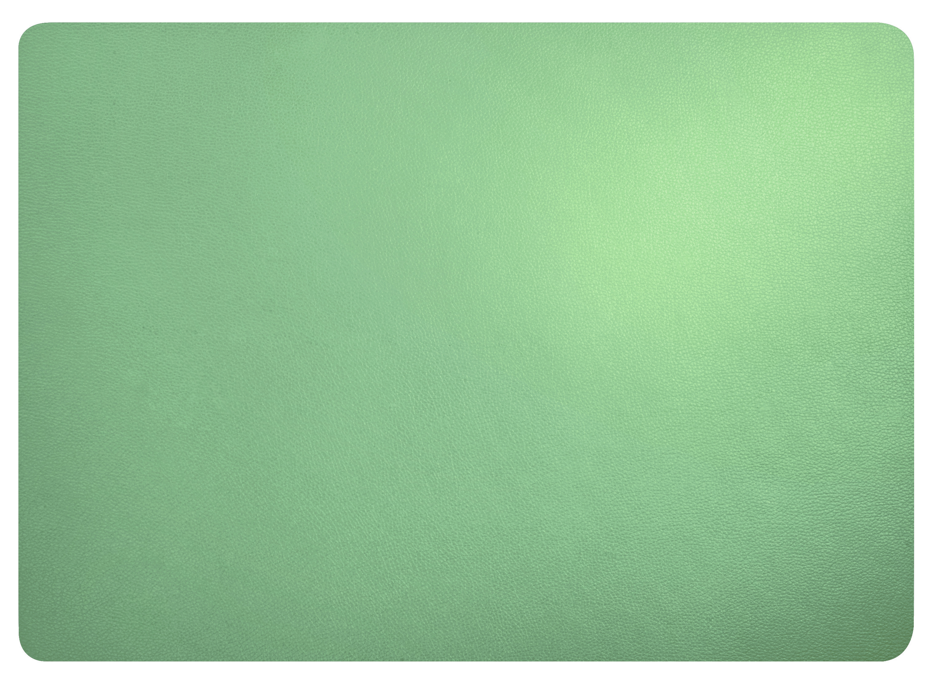 Das Bild zeigt ein Tischset in feiner Lederoptik in der Farbe Mint. Es ist ideal als Unterlage für den Esstisch geeignet.