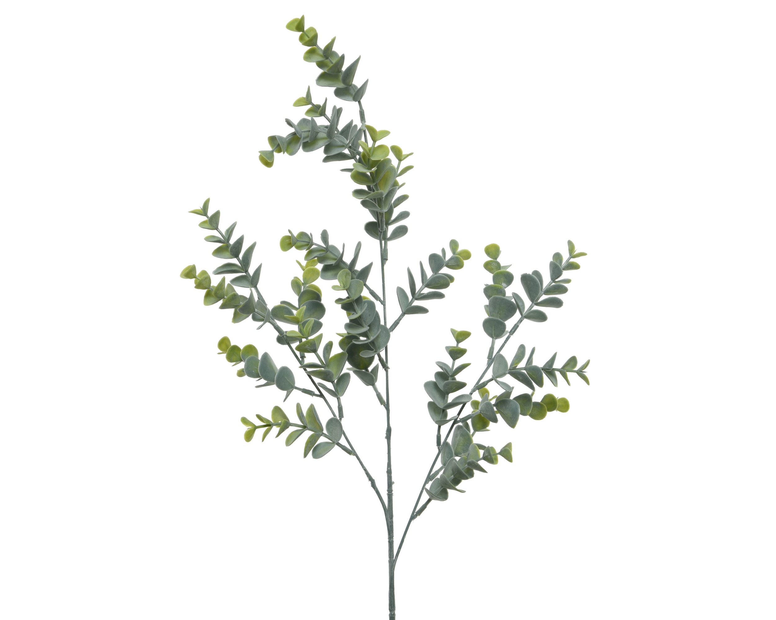Eukalyptus am langen Stiel, naturgetreue Nachbildung. Ideal für florale Dekorationen und Arrangements.