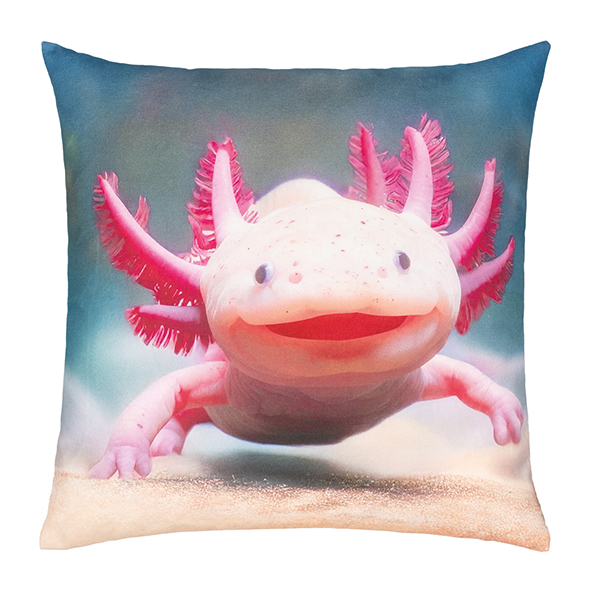 Abgebildet ist ein komplettes Kissen namens MOCHI in Pink mit den Maßen 45 x 45 cm. Das Kissen wirkt modern und ist in einer auffälligen Farbe gestaltet.