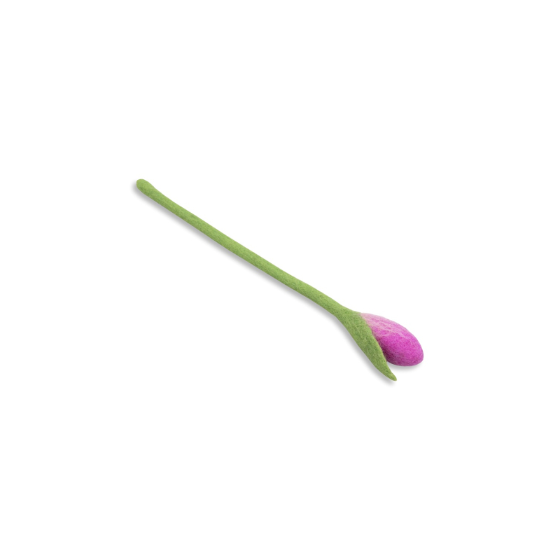 Hier ist eine Tulpe in Rosa abgebildet. Die Blume eignet sich als frühlingshafte Dekoration.