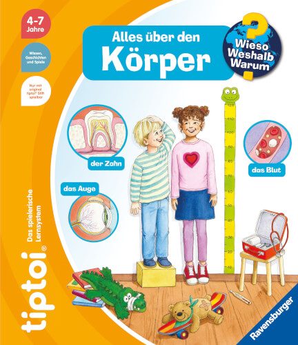 Auf dem Bild sind zwei Kinder zu sehen, die ihre Körpergröße messen. Rundherum sind verschiedene Bilder und Begriffe zum Thema Körper abgebildet, wie "der Zahn", "das Auge" und "das Blut".