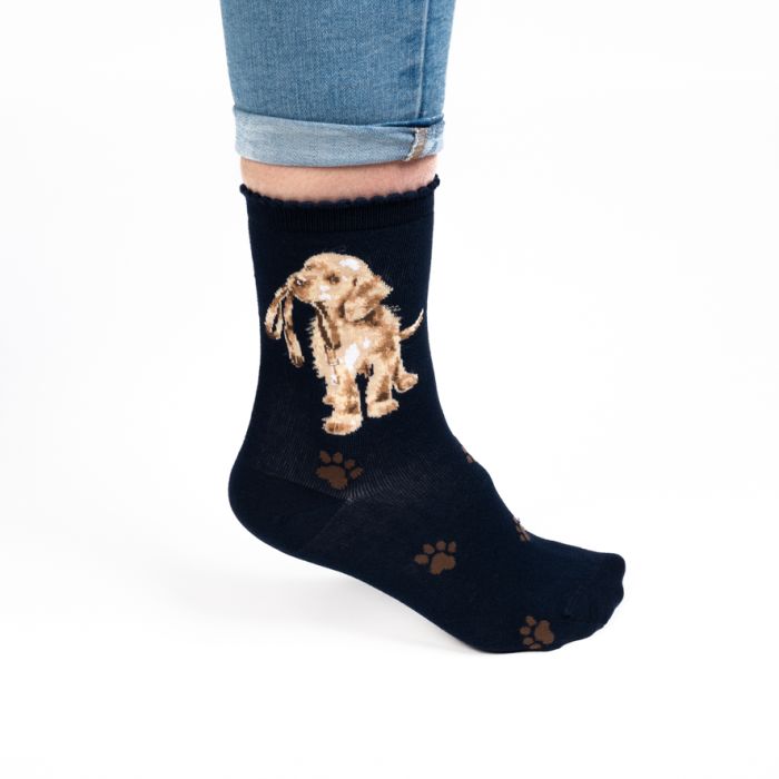 Auf dem Bild ist die Dog Sock - Hopeful - NAVY abgebildet. Es handelt sich um eine dunkelblaue Socke mit Hundemotiv.