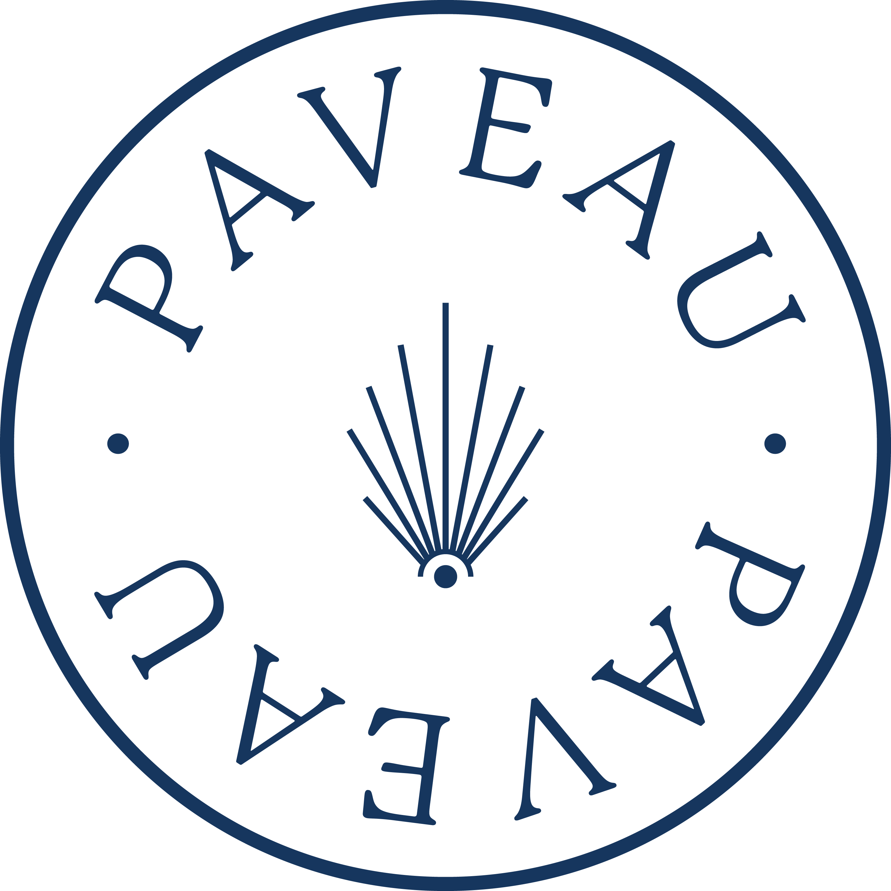 Paveau BV