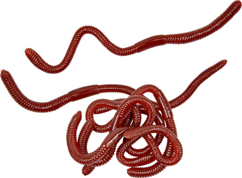 Abgebildet ist ein Produkt ohne bekannte Details. Weitere Produktinformationen fehlen.