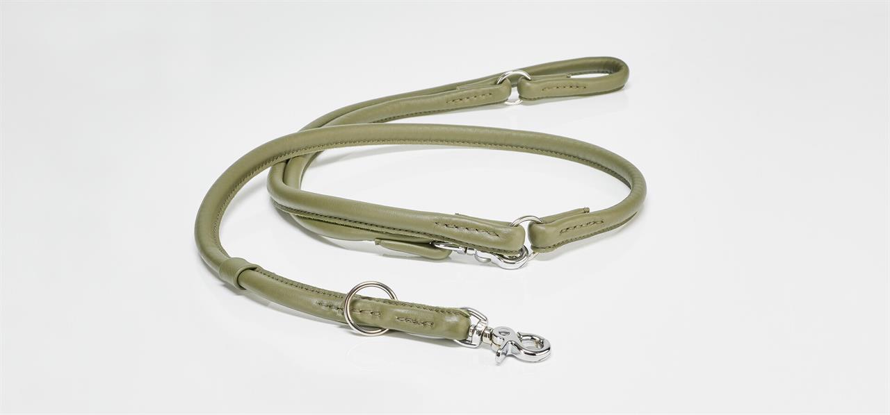 Auf dem Bild ist eine dunkelgrüne Hundeleine aus Leder zu sehen. Die Leine hat silberne Metallringe und einen Karabinerhaken.