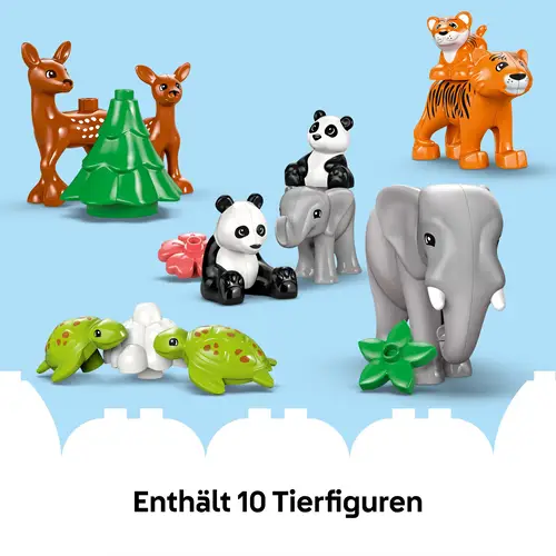 Das Bild zeigt ein Produktbild ohne weitere Beschreibung. Es handelt sich um die Datei 41104848_5702017815558_10446_WE_eComFrame5_DE.