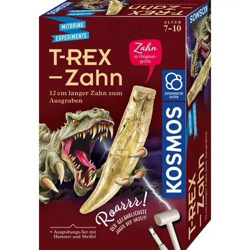 T-REX-Zahn - 12 cm langer Zahn zum Ausgraben