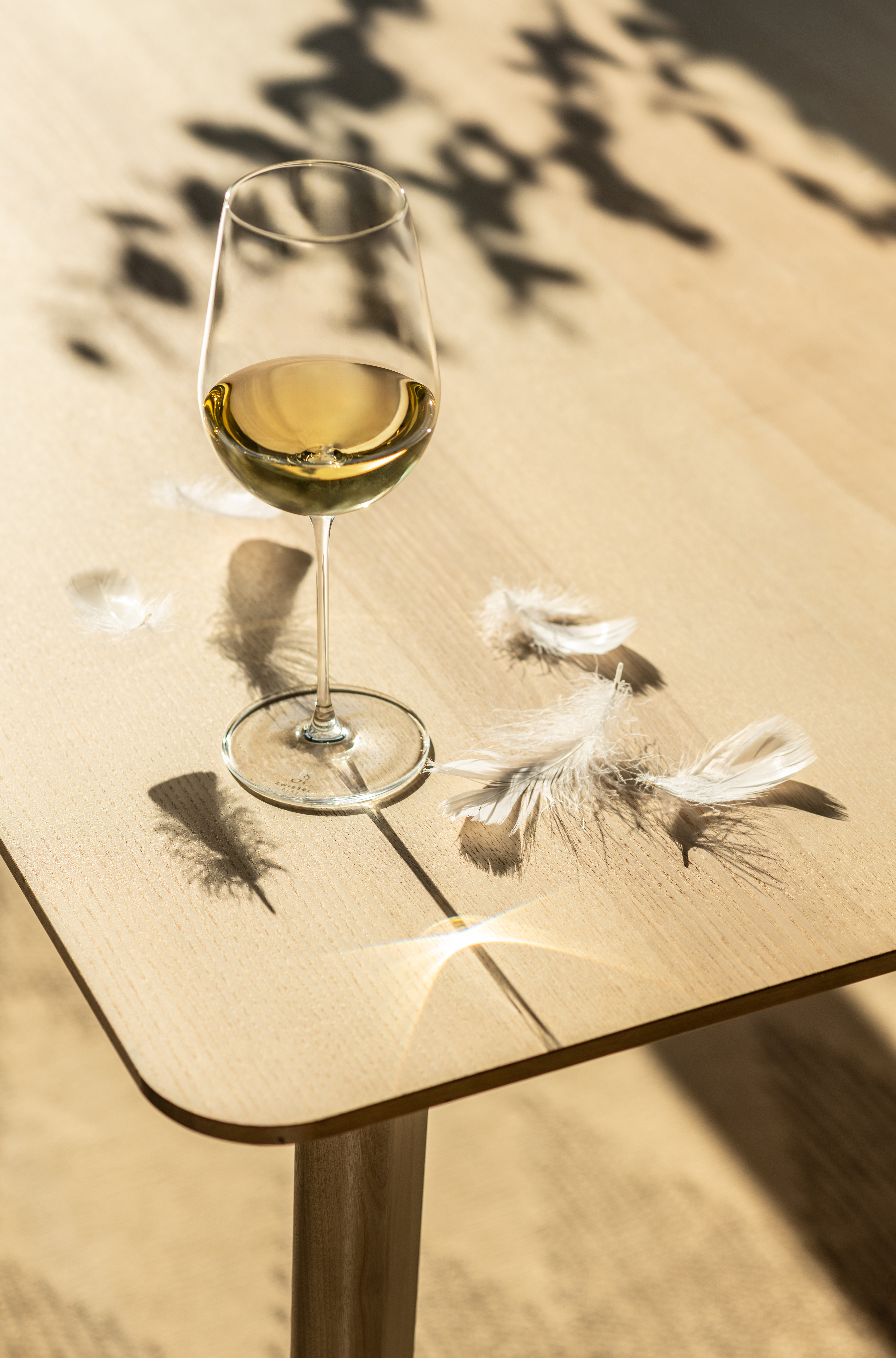 Zu sehen ist ein Glas der Serie VUELO. Das Glas steht einzeln und ist leer.