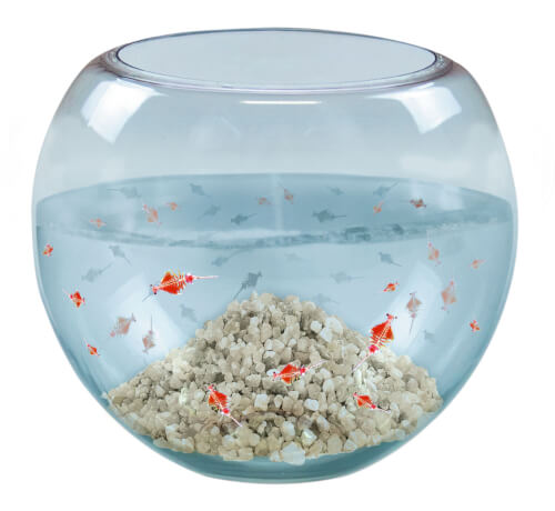 Das Bild zeigt einen Artikel ohne bekannte Beschreibung. Weitere Angaben sind nicht vorhanden.