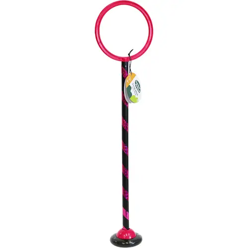 Swing Wheel mit Lichtrad pink