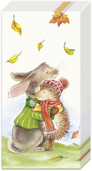 BEST FRIENDS FOREVER Cream Papiertaschentücher PT1. Papiertaschentücher mit freundlichem Design.