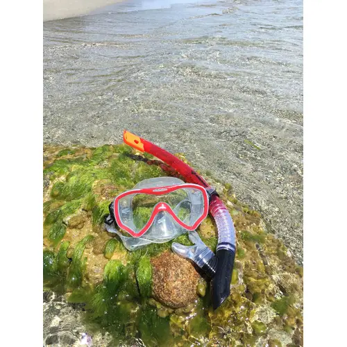 Schildkröt Schnorchel Set FIJI - 2-teilig