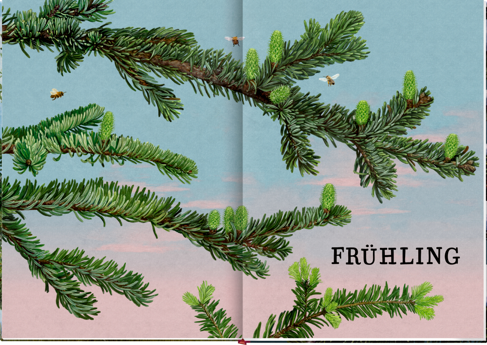 Coppenrath Das Große Buch Vom Tannenbaum - Bild 5