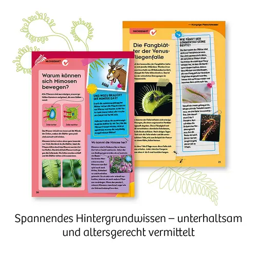 Das Bild zeigt das Produkt mit dem Dateinamen 37011517_4002051632137_5. Es handelt sich vermutlich um einen Artikel aus dem Sortiment von Schaeffer24.