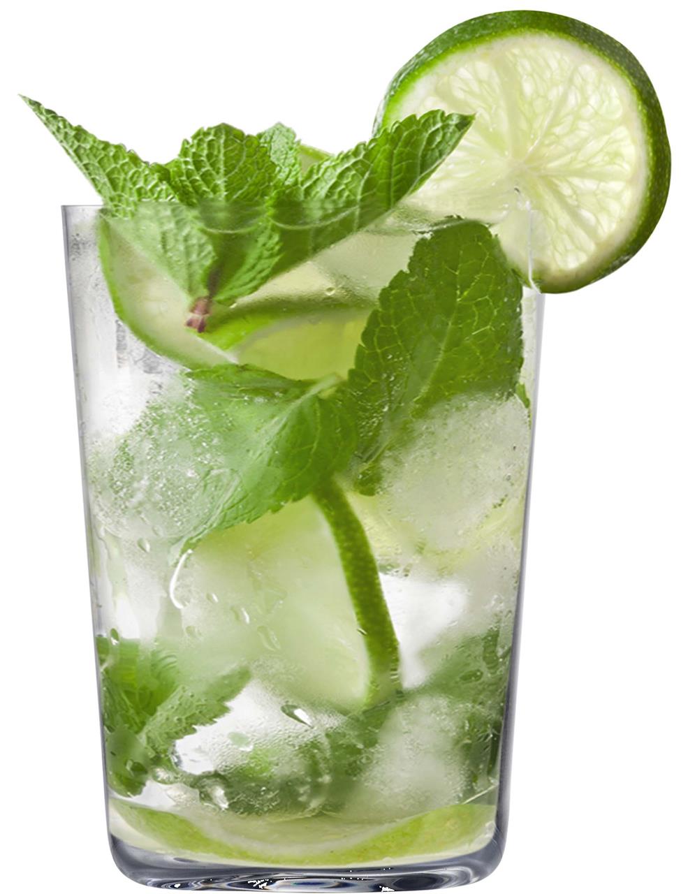 Das Bild zeigt ein Glas Mojito mit frischer Minze, Eis und einer Limettenscheibe. Das Getränk sieht erfrischend und lecker aus.