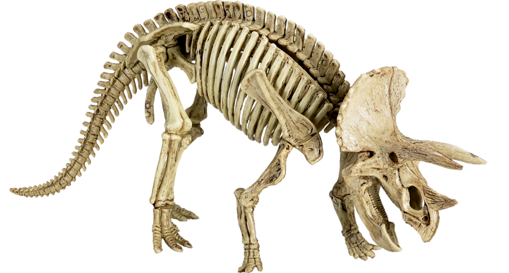 Auf dem Bild ist das 'T-Rex World - Ausgrabungsset Triceratops' zu sehen. Es enthält Werkzeuge und einen Dino zum Ausgraben.