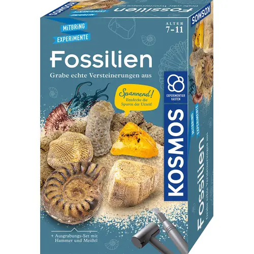 Fossilien - Ausgrabungs-Set