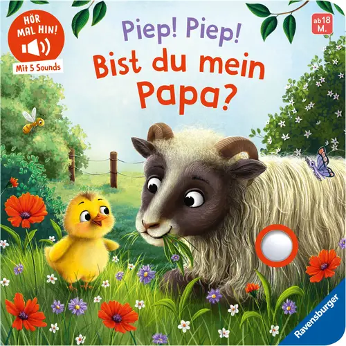 Produktabbildung mit dem Dateinamen 68069122_9783473422388_H. Das Bild stellt das Produkt anschaulich dar.