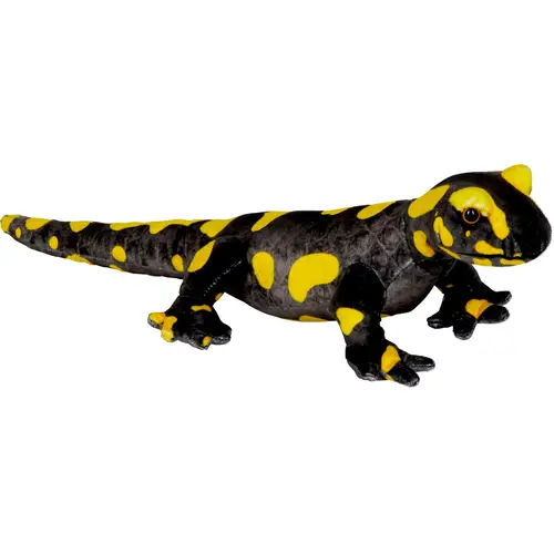 Nature Zoom Wild - Feuersalamander