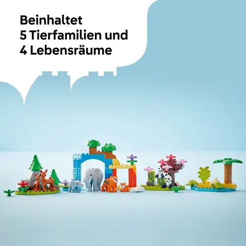 Das Bild zeigt ein Produktbild ohne weitere Beschreibung. Es handelt sich um die Datei 41104848_5702017815558_10446_WE_eComFrame3_DE.