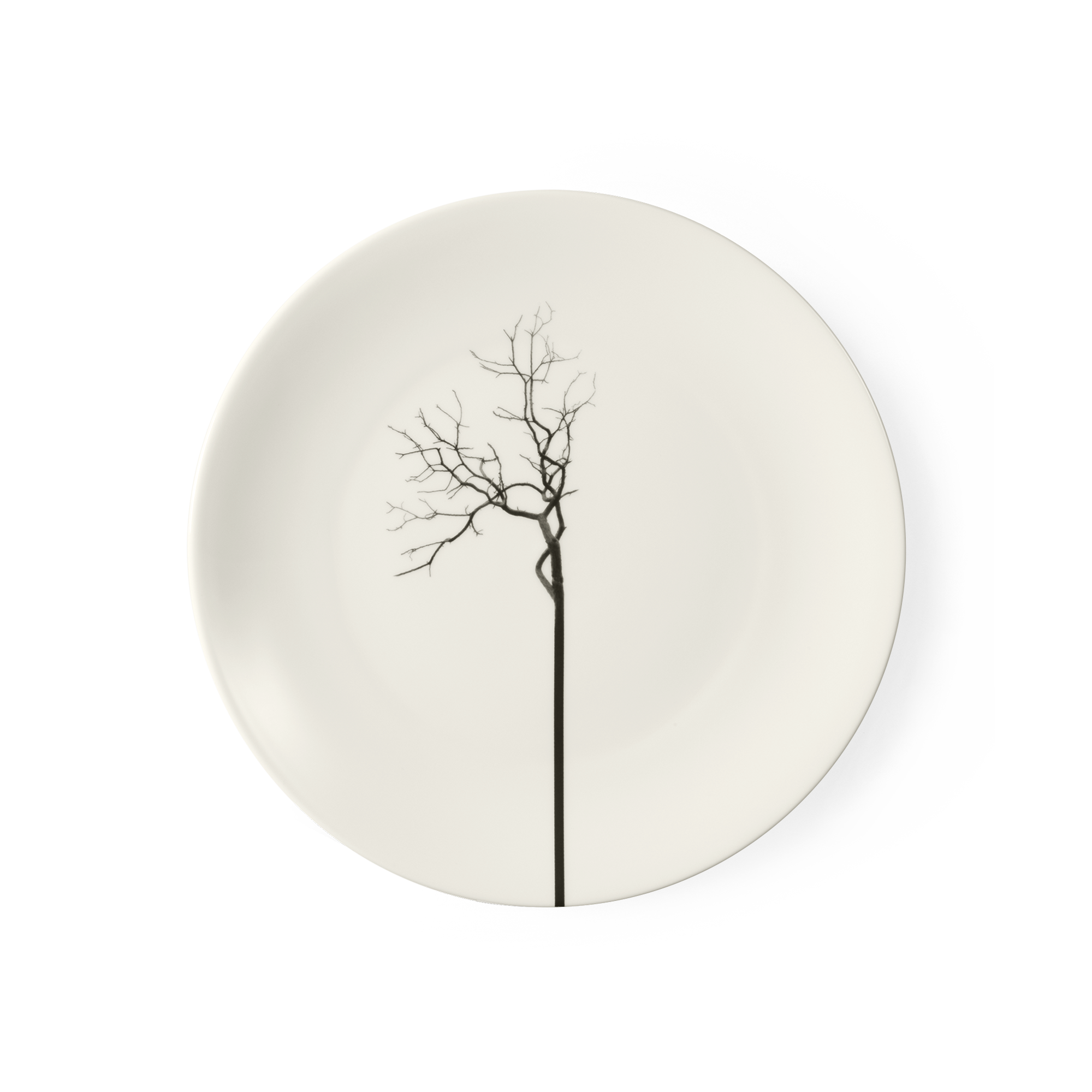 Dies ist ein flacher Teller mit einem Durchmesser von 26 cm. Er stammt aus der Serie Black Forest Fine Bone China.